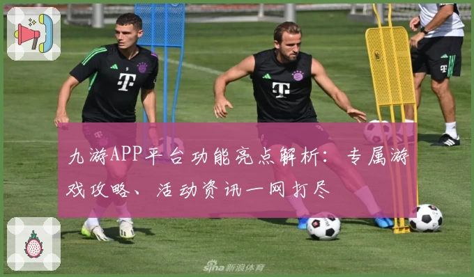九游APP平台功能亮点解析：专属游戏攻略、活动资讯一网打尽